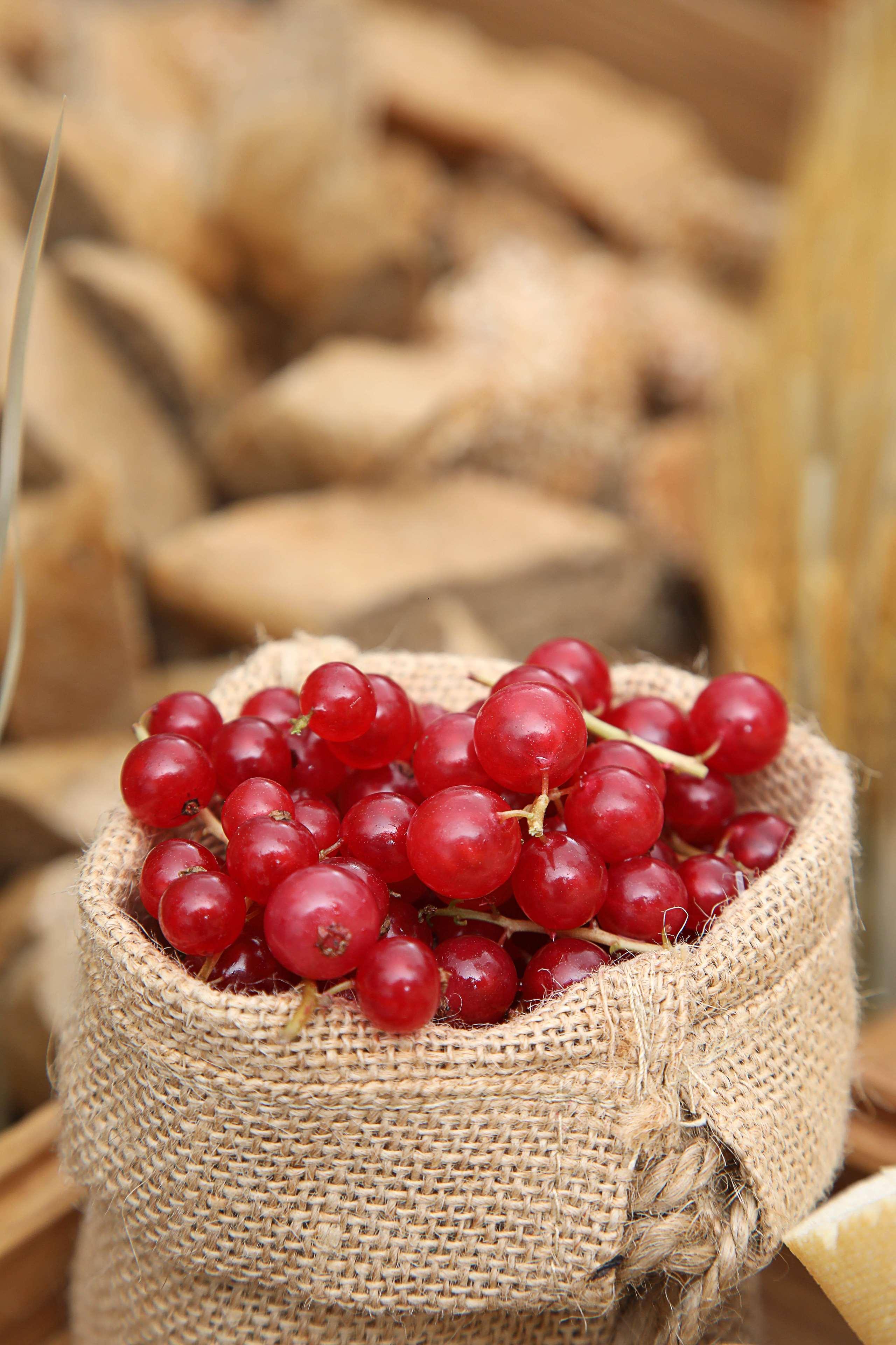 โรงแรมแกรนด์ คอสโมโพลิตัน - ดูไบ ภายนอก รูปภาพ The photo shows a burlap sack filled with clusters of bright red berries. The berries appear to be fresh and glistening, suggesting they are ripe. In the background, there are blurred wooden logs, which add a rustic feel to the image. The overall com